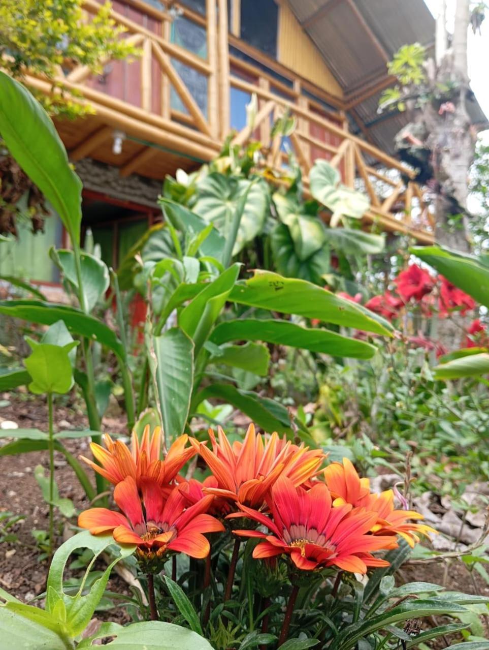 Eco Hotel Manu Viajeros San Agustín Exterior foto